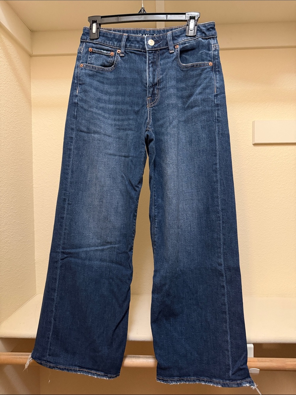 American Eagle Low-Rise Wide-Leg Baggy Jeans